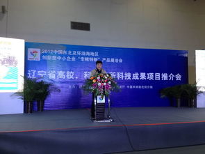 2012中國東北及環渤海地區中小企業專精特新產品技術展覽洽談會市場營銷策劃