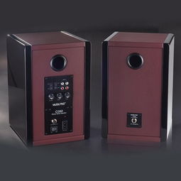 樂之邦C280 HiFi音箱 電子分頻技術與鑄鋁盆架低音的卓越融合